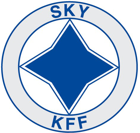 SKY-kosmetologi logo